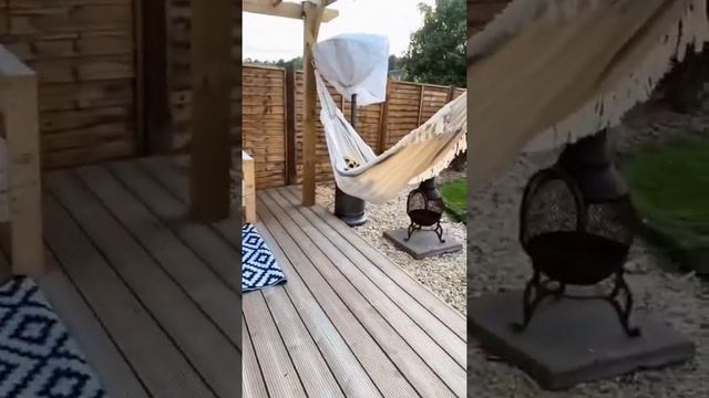 Such A Good Day !! ?#dog #pet #puppy #animals #viral #dogsoftiktok #petsoftiktok #tiktokanimals #f