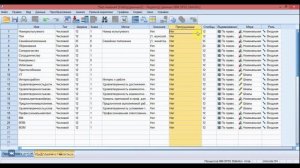Загрузка данных в SPSS, подготовка и настройка