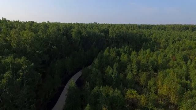 Вишневая Горка: дорожка в лесу для прогулок и занятий спортом смотреть онлайн