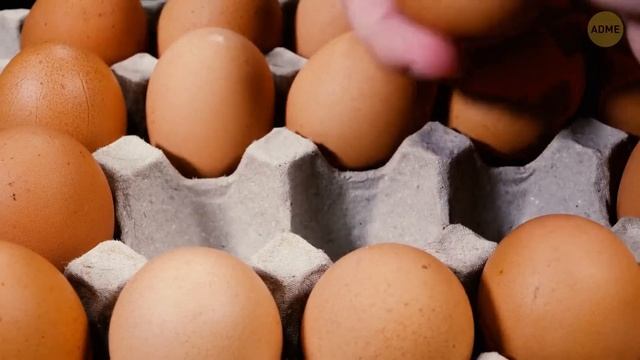 Во что превратится мир без куриных яиц? смотреть онлайн