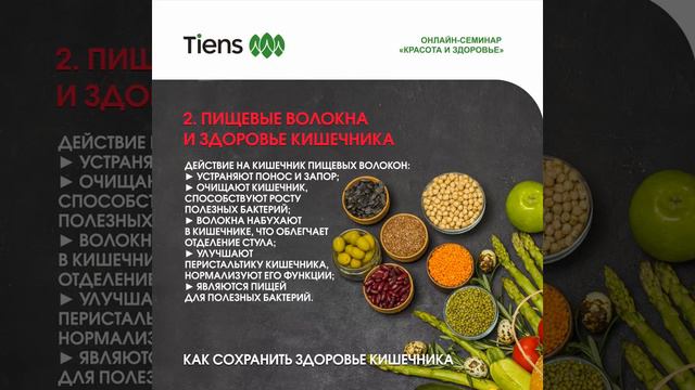Как связаны пищевые волокна и здоровье кишечника смотреть онлайн