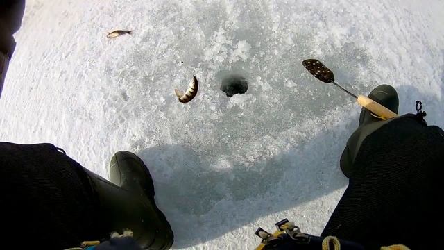 Зимняя рыбалка на мормышку, ловля ерша... смотреть онлайн