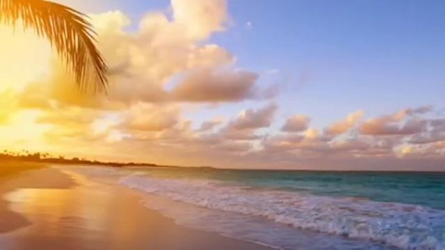 Служение по книге «Откровение» - 12 июля 2015 Почему мы должны жертвовать смотреть онлайн