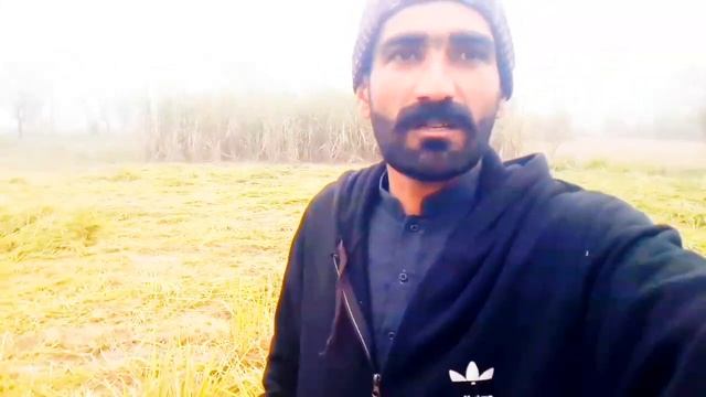 chara ikatha kia I close grass on dunckey смотреть онлайн