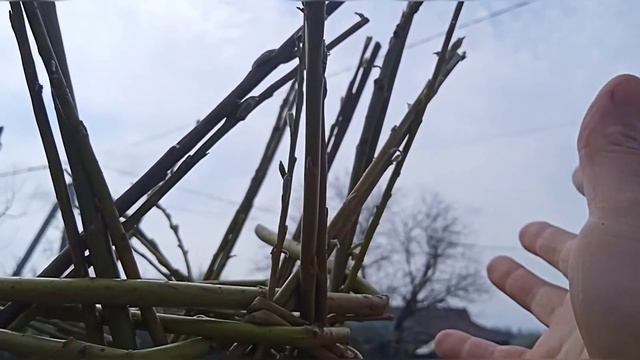 пальма із верби -плетіння декору для дачі смотреть онлайн