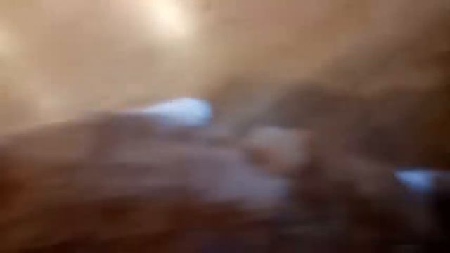 ШОК! Кот 🐈 нападает на человека, а потом на камеру! Смотреть до конца! смотреть онлайн