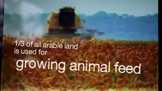 Вегетарианство, любовь и сострадание к окружающему миру ч.8 смотреть онлайн