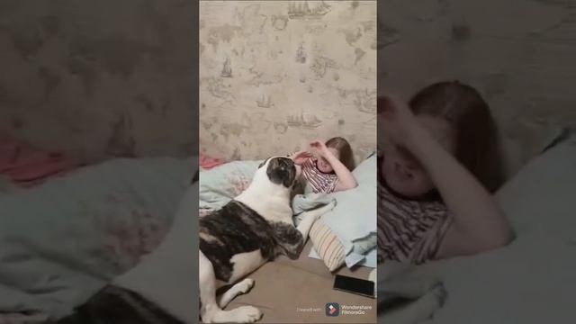 Злой Алабай Айка -просто нянька и остальные.? смотреть онлайн