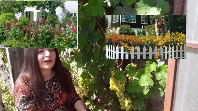 О садах и полисадниках смотреть онлайн