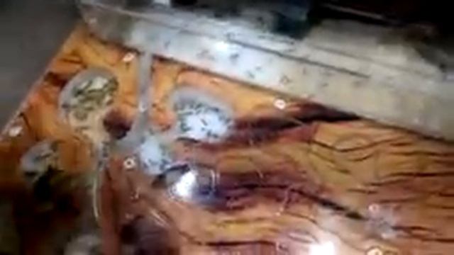 vlog 22.11?МУРАВЬИШКИ / ВЫШИВАЮ НА ТОЛСТОВКАХ / ОПЯТЬ ВАФЛИ смотреть онлайн