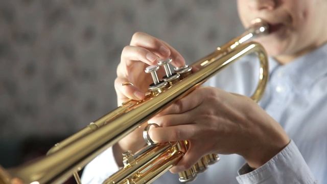 Mexican Hat Dance - Trumpet- Daniel Kaleta