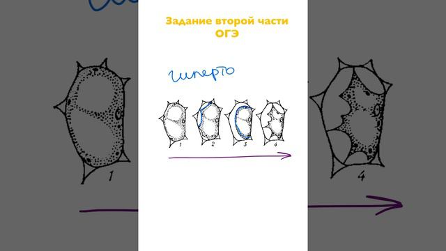 Задание второй части ОГЭ смотреть онлайн