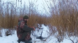 ОХОТА НА БОБРА КАПКАНАМИ ЗИМОЙ! ТРОФЕЙНЫЙ БОБР НА РЕЧНОМ ПОСЕЛЕНИИ! WINTER BEAVER TRAPPING!