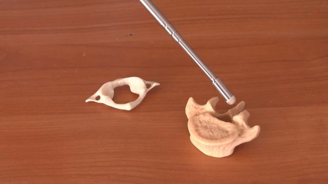 Остеология Бекниязова Гулсим Жетесовна смотреть онлайн