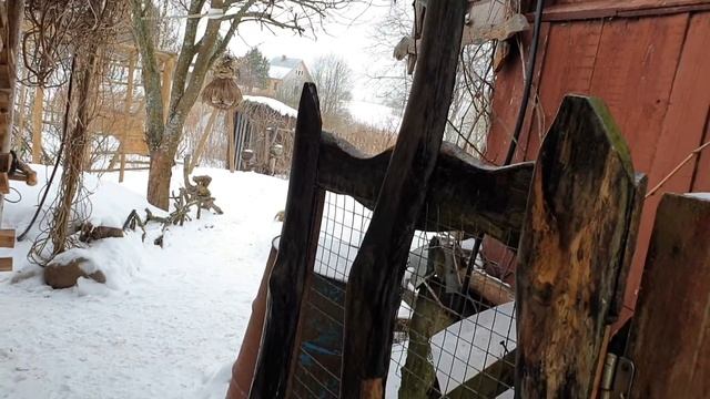 Чудачества Чуни. смотреть онлайн