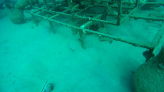 ЕГИПЕТ / Чек-дайв в отеле Jaz Makadina 5* МАКАДИ БЕЙ смотреть онлайн