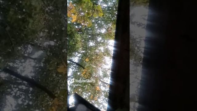 🌤⛅🌥🌦🌧🌨🌩⛈️🌬🌫☁🌀💦💧☔☂️🌊14.9.24