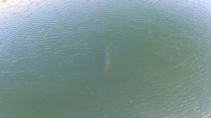 Сахалин - Край Суровый, Но Прекрасный! Потрясающая Природа Сахалина