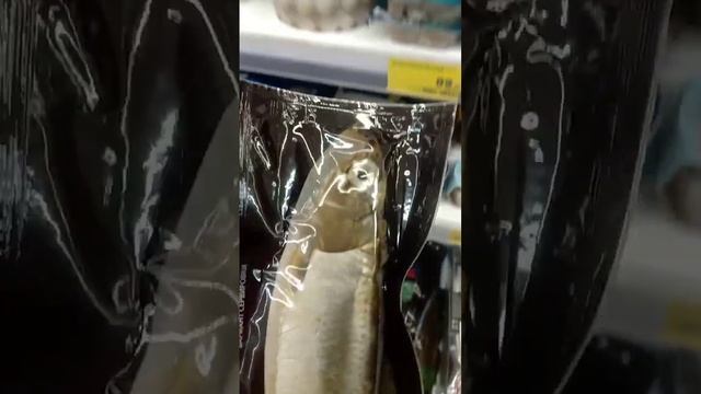 Сельдь холодного копчения не разделанная из магазина магнит смотреть онлайн