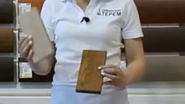 Презентация "Защита деревянных строений" смотреть онлайн