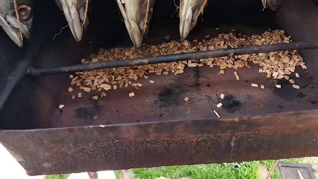 Снова копчу скумбрию Горячим способом. смотреть онлайн