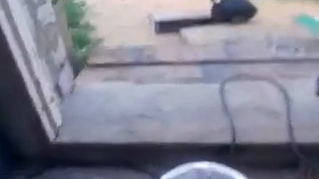 редукторы 1.3gp