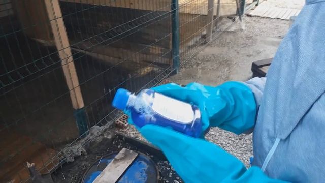 Чистка вольера для собак весной.  Дезинфекция вольера.