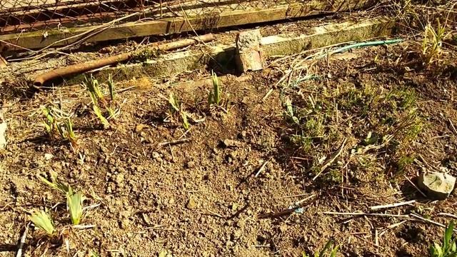 Влог путешествие с ребёнком. Путешествие по Уралу. смотреть онлайн