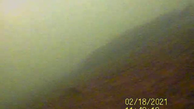 Налим на нересте смотреть онлайн