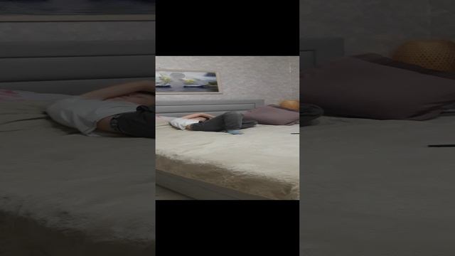 если бы люди вели себя как коты смотреть онлайн