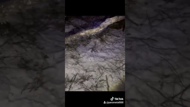 Зимний поход с другом на два дня??? смотреть онлайн