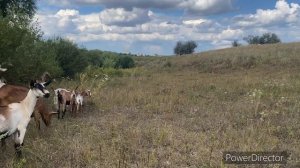 Раздал весь выигрыш