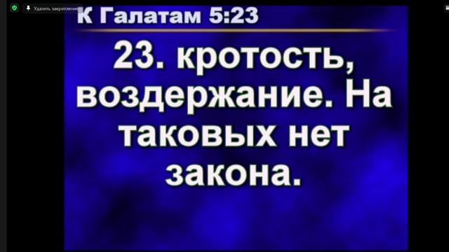 Всякую у Меня ветвь, не приносящую плода, Он отсекает; и всякую, приносящую плод, очищает ... смотреть онлайн
