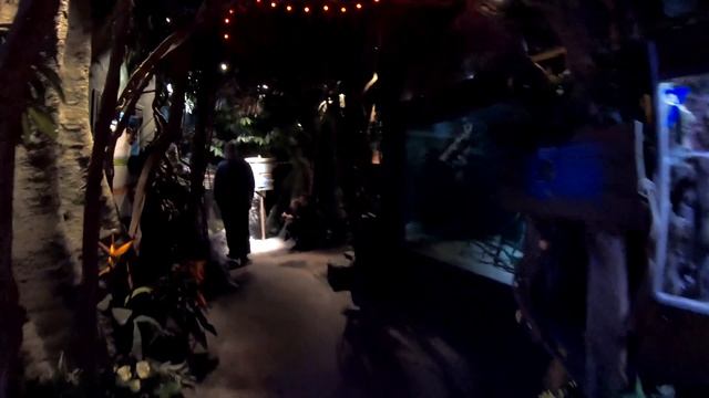 Road To Lapland ( Rovaniemi ) : Part 3 Helsinki Finland ?? смотреть онлайн