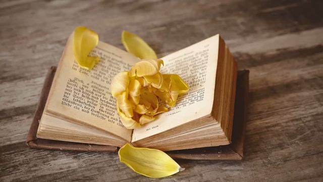 «Вот только этого еще не хватало! Вообще-то у меня есть другая! И я её люблю!» — возмутился муж... смотреть онлайн