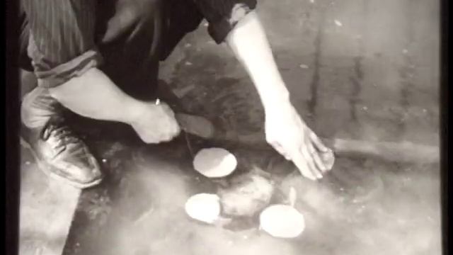 "Сибирь на экране", 1956 год, ТГУ, Ботанический сад смотреть онлайн
