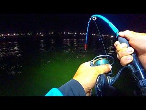 БИТВА ТИТАНОВ !!!ОДИН В ЛОДКЕ ПРОТИВ ГИГАНТА !!! РЫБАЛКА НА СОМА И САЗАНА С НОЧËВКОЙ