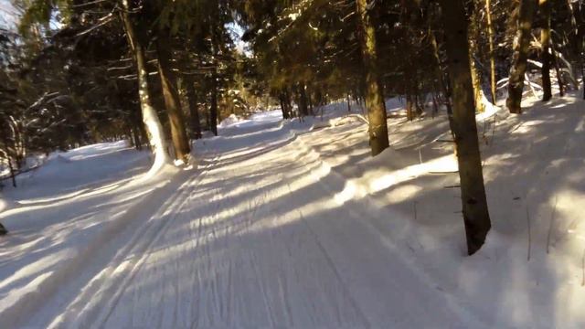 Лыжня в Лавру-2023 ч. 4/5. Второй круг смотреть онлайн