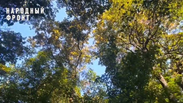 Братскую могилу №16 в Воронеже берут в кольцо высоток! смотреть онлайн