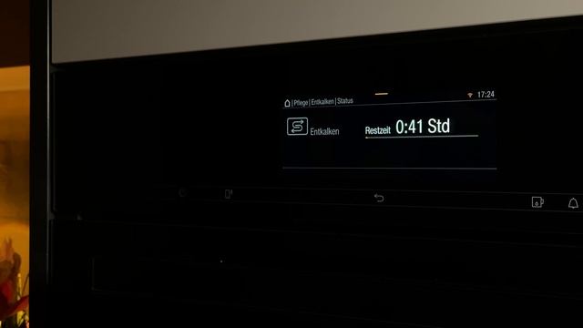 Entkalken Miele Dampfbackofen (DGC 7845) смотреть онлайн