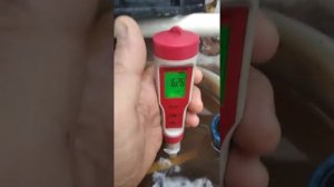 Подкормка клубники,. Поливной раствор для клубники. EC воды и поливного раствора для клубники.