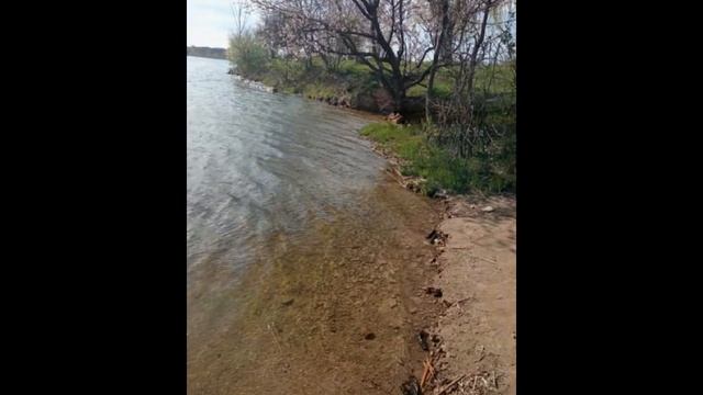 Экологическая тропа смотреть онлайн