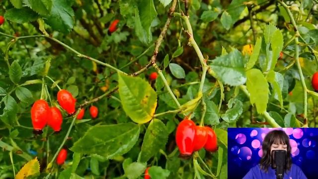 Увидев мужа с любовницей в кафе, Агата оторопела. Такого резкого поворота судьбы она не ожидала... смотреть онлайн