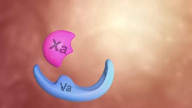Coagulation Cascade Animation - Physiology of Hemostasis.mp4 смотреть онлайн