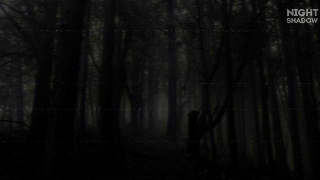 ДАР С ТОГО СВЕТА | СТРАШНЫЕ ИСТОРИИ НА НОЧЬ NightShadow смотреть онлайн