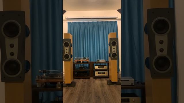 Ortofon SPU Classic Plays Simply Red