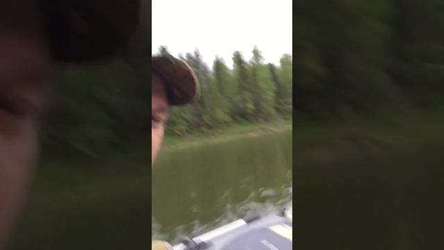 Причиндалы для рыбалки смотреть онлайн