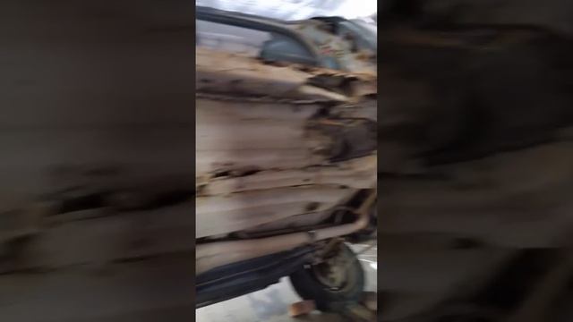 моль съела машину! смотреть онлайн