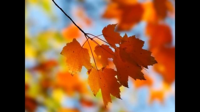 Александр Хочинский - И осень... смотреть онлайн