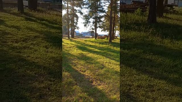 База Шульдинка Пермский край. смотреть онлайн